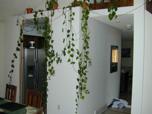 Kitchen-Before-1.jpg